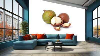 macadamia nuts on white background Wall mural