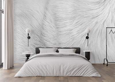 Dog fur surface with short smooth patterns , animal hair background Wall mural