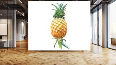 Freshness pineapple tropical fruit with green leaf and green stem isolated on white background  Wall mural