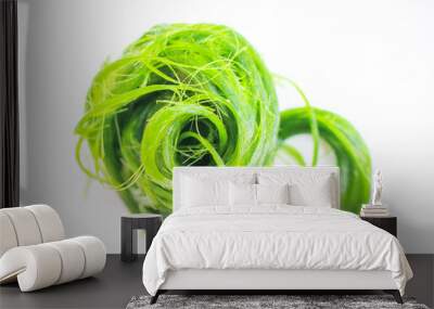 Green spirogyra on white background , algae nature patterns texture top view Wall mural