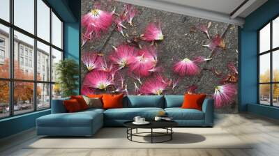 Closeup of falling flowers on old cement floor. The natural art background and template.  Wall mural