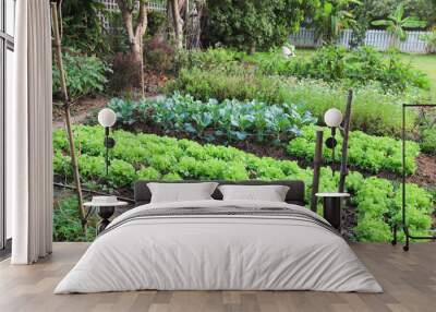 Scenery of several kinds of organic green oak, Chinese kale and other vegetable in backyard garden. Wall mural