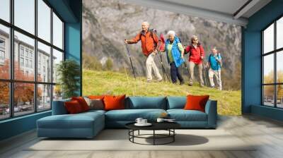 four senior hikers walking in a row Wall mural