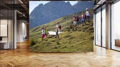 hiking group on mountain pasture Wall mural