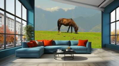 Horses in the meadow. Wall mural