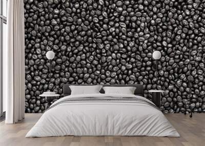 black plastic resin ( Masterbatch ) background Wall mural