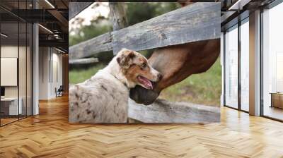 Dog and Horse Greeting Wall mural