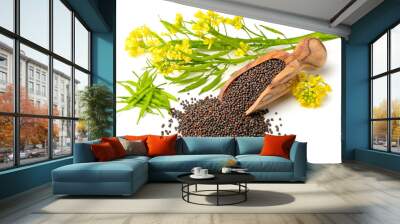 canola seeds and fresh canola flowers isolated on white Wall mural