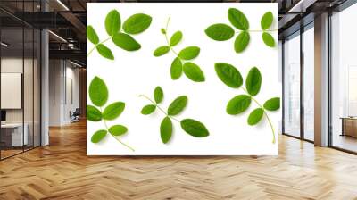 collection of fresh rose leaves isolated on white, top view Wall mural