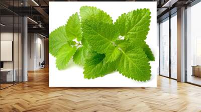 fresh lemon mint isolated on white Wall mural