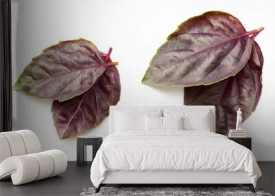 fresh purple basil isolated on white background, top view Wall mural