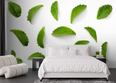 fresh stevia leaves isolated on white background, top view Wall mural