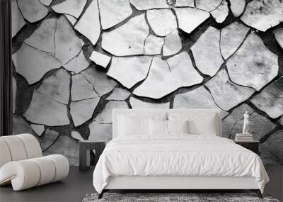 grunge background of black and white abstract illustration texture of cracks chips dot Wall mural