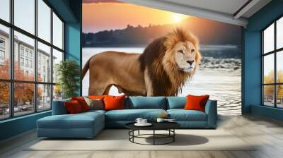 portrait of a lion standing in water at sunset Wall mural