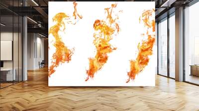 A cluster of red flames on a transparent background. Wall mural