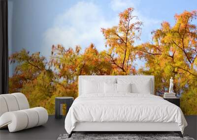 Autumn leaves background Wall mural