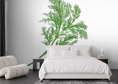 Fresh dill on white background, isolated Wall mural