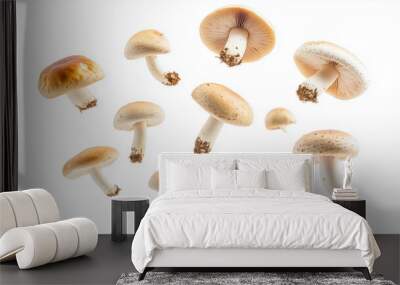 mushrooms isolated on white background Wall mural