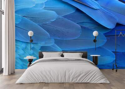 Blue and gold macaw feathers. Wall mural