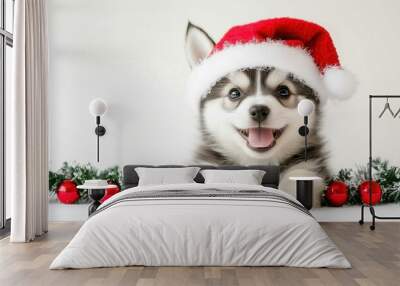 Cute happy puppy wearing santa hat and garland on white plain background. space for copy Wall mural