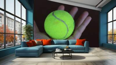 hand holding tennis ball Wall mural