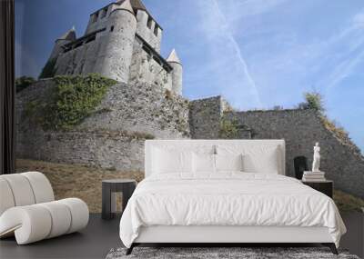 france, paris region, seine et marne, provins medieval city, tou Wall mural