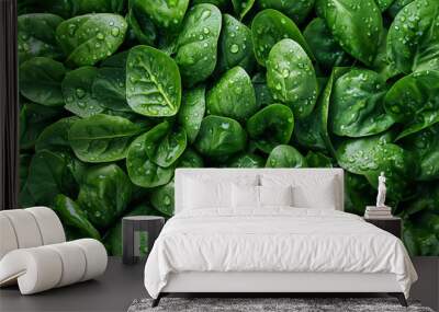 Verduras de hoja verde frescas, espinacas, acelgas de mercado
 Wall mural