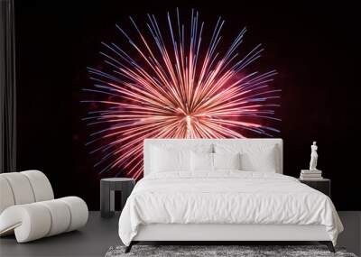 Beautiful single firework in gold and red Wall mural