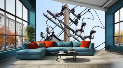 electric pole Wall mural