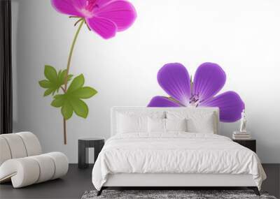 Two geranium flowers Wall mural