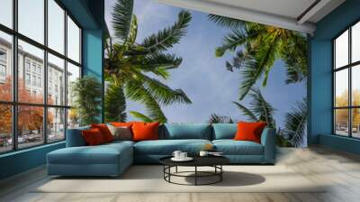 palm tree and blue sky Wall mural