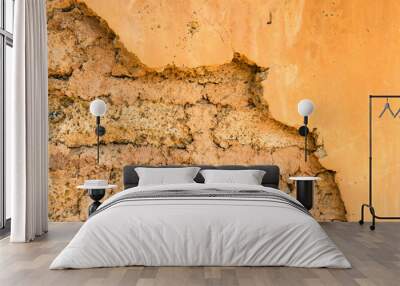 Background of home soil wall texture. Wall mural