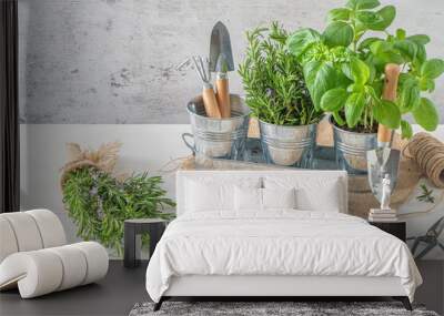 Home gardening. Rosemary and basil bush in pots, and gardening tools on wooden table Wall mural