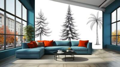 Pencil drawing of three trees: two evergreen trees and one palm tree. Wall mural