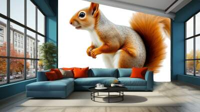 squirrel isolated on transparent background Wall mural