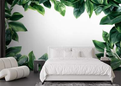 Green leaves frame cut out isolated on white background or transparent PNG Wall mural