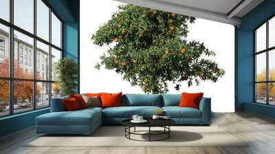 Orange Tree – Front View Wall mural