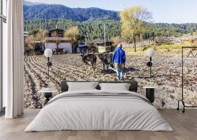 farmer plowing with oxen Wall mural