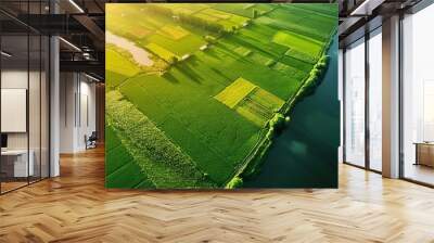 View from above of river green rural farmland Wall mural