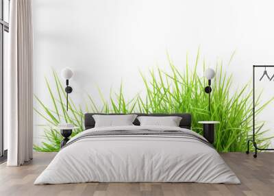 fresh spring green grass Wall mural