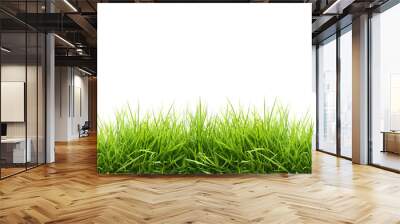 fresh spring green grass Wall mural