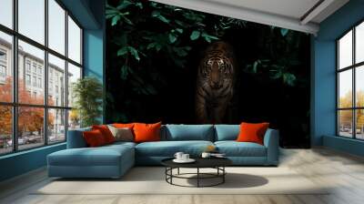 tiger in tropical rainforest at night Wall mural