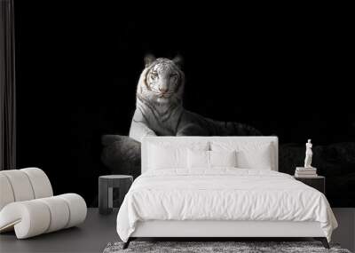 white bengal tiger Wall mural