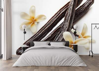 vanilla bean on isolated white background Wall mural