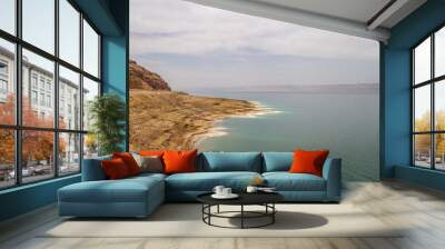 view of the dead sea in Jordan Wall mural