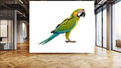 Green macaw on white background for nature, wildlife, tropical themes. Ideal for projects needing vibrant and colorful visuals Wall mural