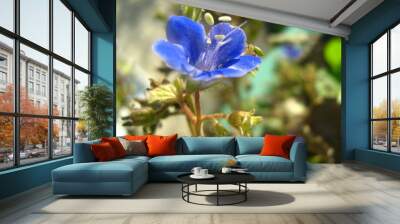 butterfly flowers narural beauty Wall mural