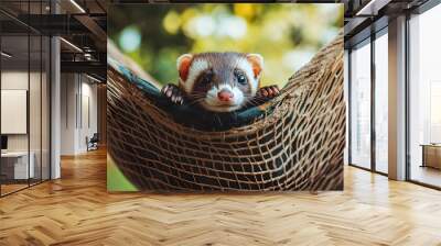 A ferret peeks out from a cozy minimalist hammock, capturing a playful and curious expression in a tranquil outdoor setting Wall mural