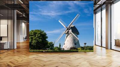 Dutch-type windmill in Araisi, Latvia. Sunny summer day. Old Europe style. Blue sky. Green grass. Wall mural