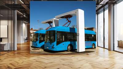 Electric buses are in the parking lot on a charge. Eco-friendly urban public transport Wall mural